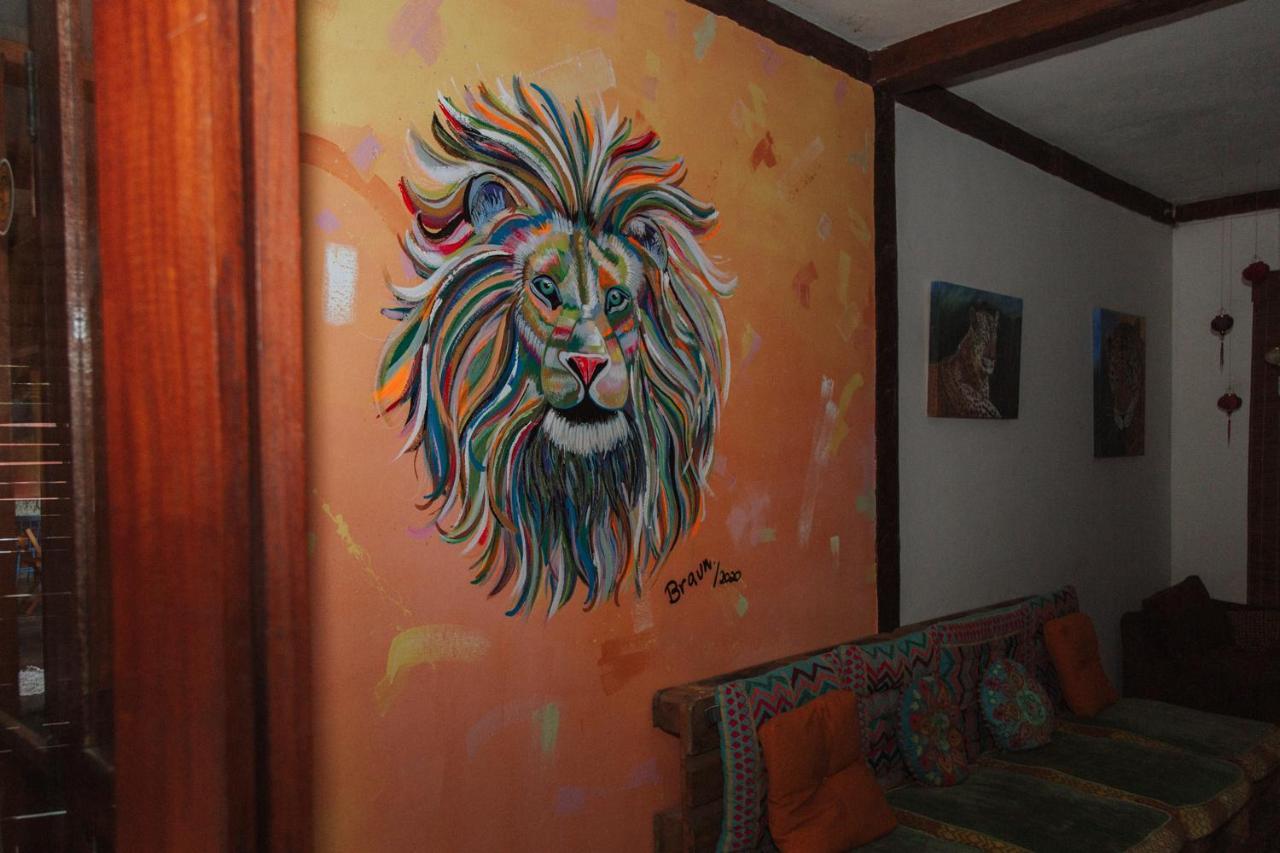 Drifter Hostel バーハ・ド・サイ エクステリア 写真
